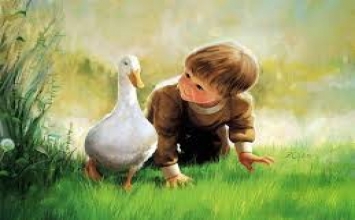 Đạm động vật – mối họa cho nhân loại